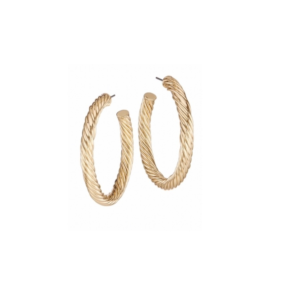 Dannijo Lico Hoop Earrings.